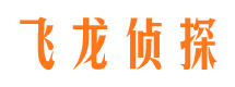 龙安市婚外情取证